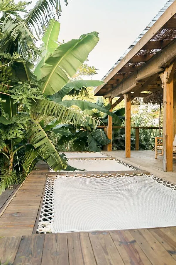 Holiday home Ecolodge Anacardier - Cabanon Luxe Pleine Nature Saint-Francois