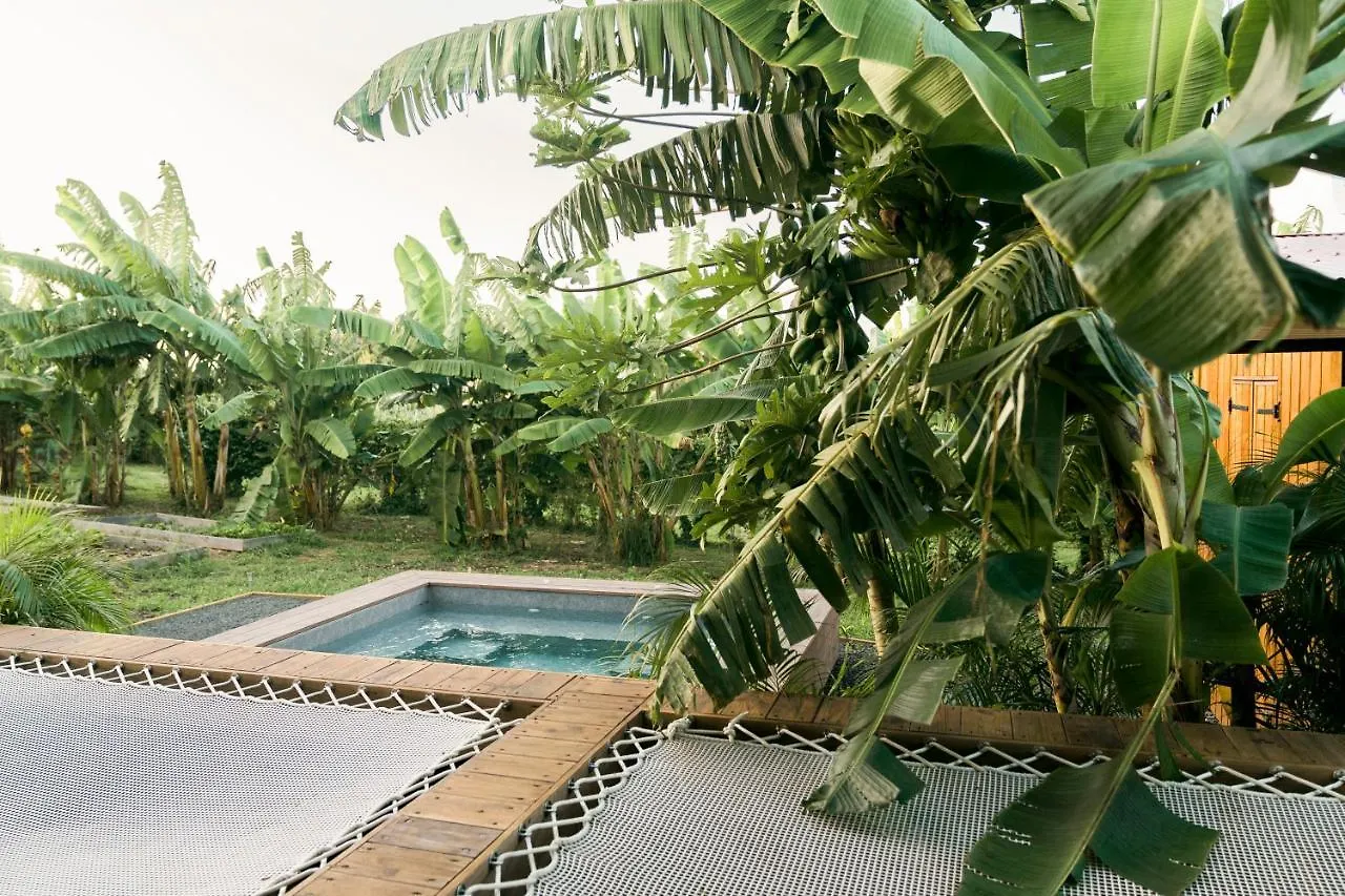 Holiday home Ecolodge Anacardier - Cabanon Luxe Pleine Nature Saint-Francois