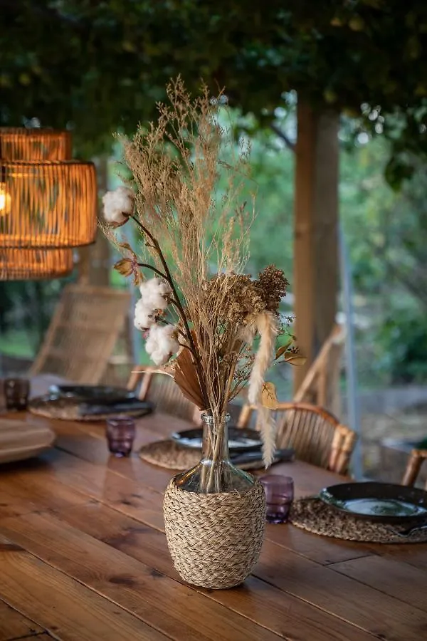 Ecolodge Anacardier - Cabanon Luxe Pleine Nature Saint-Francois  0*, Saint-Francois (Grande-Terre)