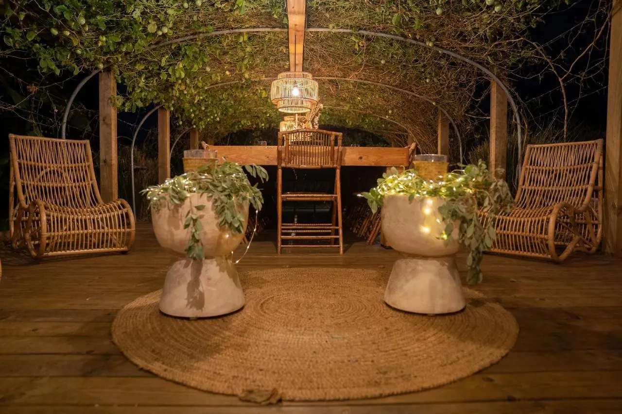 Ecolodge Anacardier - Cabanon Luxe Pleine Nature Saint-Francois  Holiday home