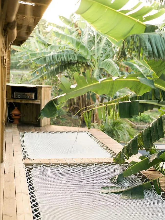Holiday home Ecolodge Anacardier - Cabanon Luxe Pleine Nature Saint-Francois