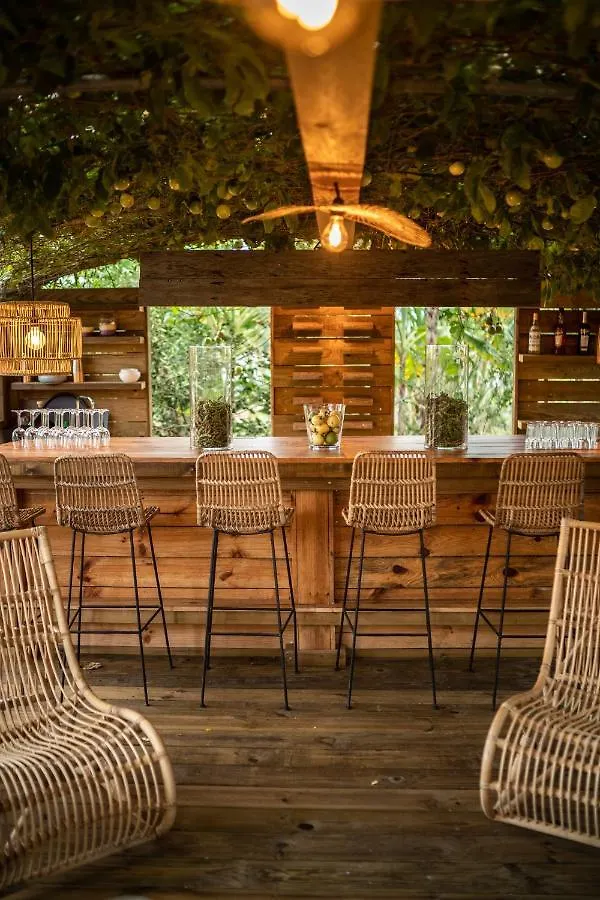 Ecolodge Anacardier - Cabanon Luxe Pleine Nature Saint-Francois  Holiday home